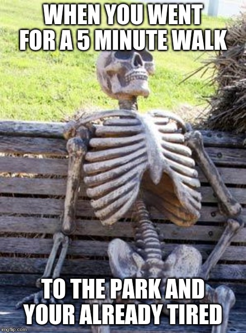 Waiting Skeleton | WHEN YOU WENT FOR A 5 MINUTE WALK; TO THE PARK AND YOUR ALREADY TIRED | image tagged in memes,waiting skeleton | made w/ Imgflip meme maker