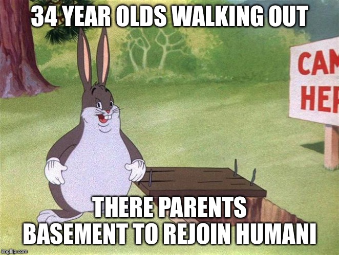 Big Chungus | 34 YEAR OLDS WALKING OUT; THERE PARENTS BASEMENT TO REJOIN HUMANITY | image tagged in big chungus | made w/ Imgflip meme maker