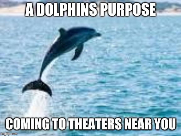 A DOLPHINS PURPOSE; COMING TO THEATERS NEAR YOU | image tagged in dolphin | made w/ Imgflip meme maker