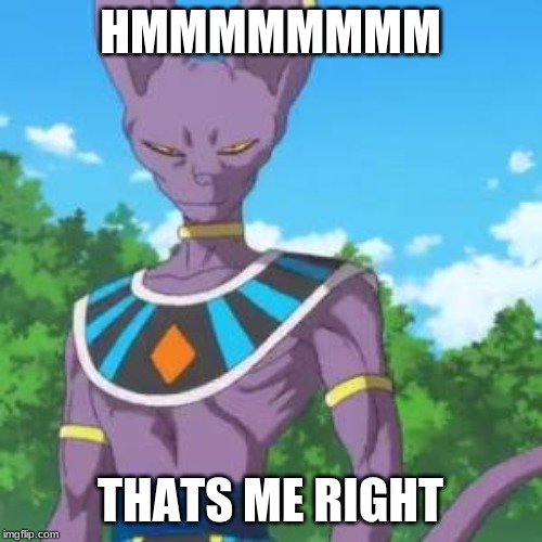 Lord Beerus | HMMMMMMMM THATS ME RIGHT | image tagged in lord beerus | made w/ Imgflip meme maker