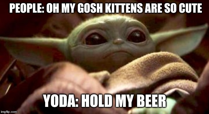 Baby Yoda | PEOPLE: OH MY GOSH KITTENS ARE SO CUTE; YODA: HOLD MY BEER | image tagged in baby yoda | made w/ Imgflip meme maker