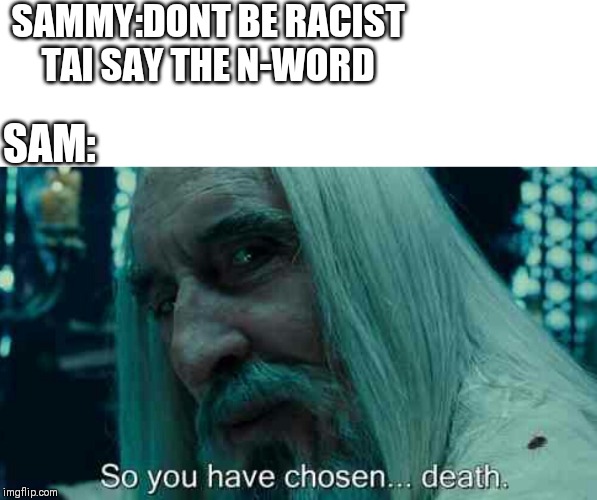 So you have chosen death | SAMMY:DONT BE RACIST
TAI SAY THE N-WORD; SAM: | image tagged in so you have chosen death | made w/ Imgflip meme maker