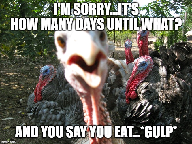 Turkeys | I'M SORRY...IT'S HOW MANY DAYS UNTIL WHAT? AND YOU SAY YOU EAT...*GULP* | image tagged in turkeys | made w/ Imgflip meme maker