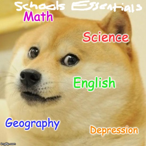 Doge | Math; Science; English; Geography; Depression | image tagged in memes,doge | made w/ Imgflip meme maker
