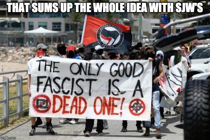 Antifa - Dead Fascists | THAT SUMS UP THE WHOLE IDEA WITH SJW'S | image tagged in antifa - dead fascists | made w/ Imgflip meme maker