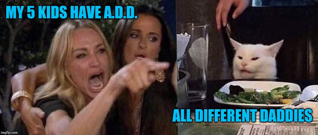 woman yelling at cat | MY 5 KIDS HAVE A.D.D. ALL DIFFERENT DADDIES | image tagged in woman yelling at cat | made w/ Imgflip meme maker