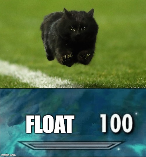 Flying Cat | FLOAT | image tagged in cat,fly,skyrim,100 | made w/ Imgflip meme maker
