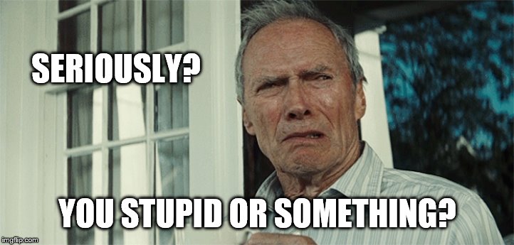 Clint Eastwood WTF | SERIOUSLY? YOU STUPID OR SOMETHING? | image tagged in clint eastwood wtf | made w/ Imgflip meme maker