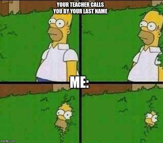 Homer Simpson in Bush - Large | YOUR TEACHER CALLS YOU BY YOUR LAST NAME; ME: | image tagged in homer simpson in bush - large | made w/ Imgflip meme maker