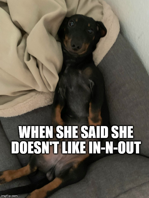 Perplexed Dog Hugo | WHEN SHE SAID SHE DOESN'T LIKE IN-N-OUT | image tagged in perplexed dog hugo | made w/ Imgflip meme maker