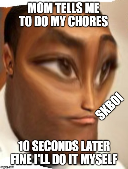 the f | MOM TELLS ME TO DO MY CHORES; SKBOI; 10 SECONDS LATER FINE I'LL DO IT MYSELF | image tagged in the f | made w/ Imgflip meme maker