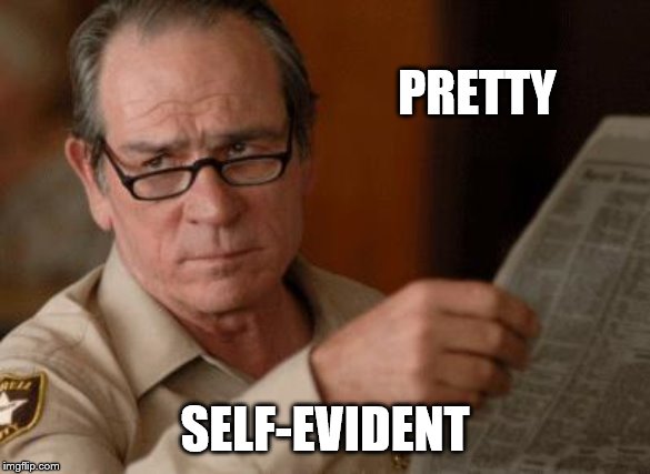 Tommy Lee Jones | PRETTY SELF-EVIDENT | image tagged in tommy lee jones | made w/ Imgflip meme maker