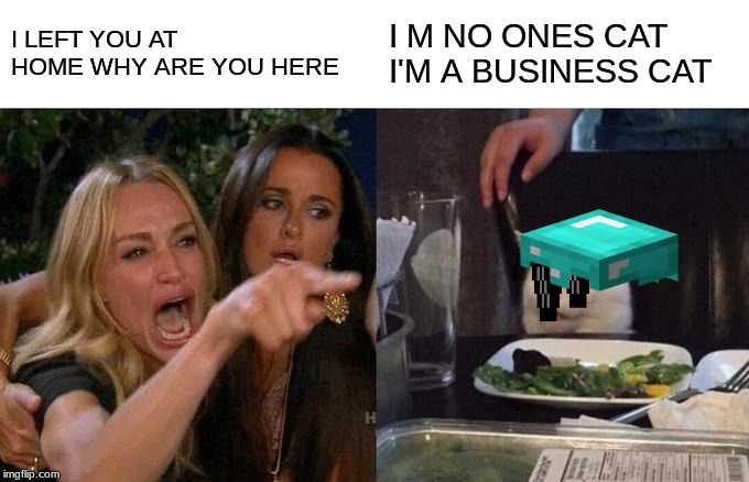 Woman Yelling At Cat Meme | I LEFT YOU AT HOME WHY ARE YOU HERE; I M NO ONES CAT I'M A BUSINESS CAT | image tagged in memes,woman yelling at cat | made w/ Imgflip meme maker