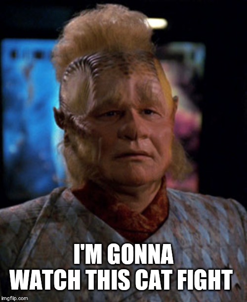 neelix | I'M GONNA WATCH THIS CAT FIGHT | image tagged in neelix | made w/ Imgflip meme maker