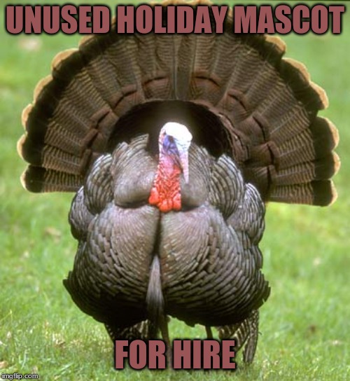 Thanksgiving Thing | UNUSED HOLIDAY MASCOT; FOR HIRE | image tagged in memes,turkey | made w/ Imgflip meme maker