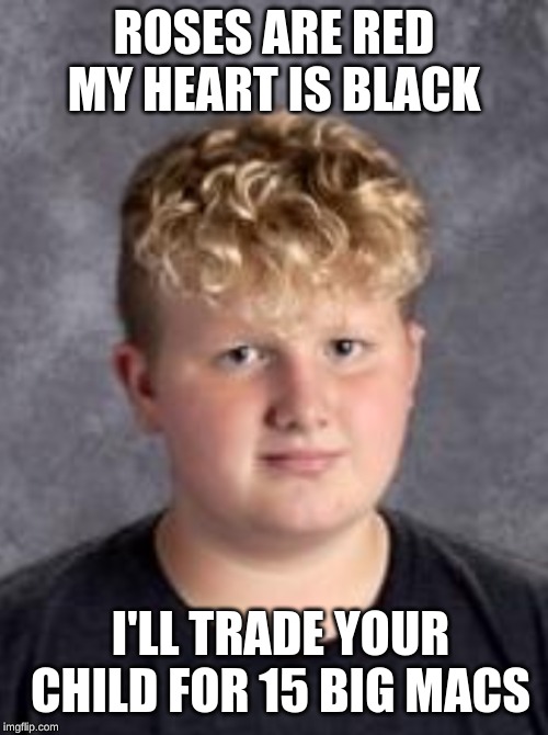 Fat friend | ROSES ARE RED MY HEART IS BLACK; I'LL TRADE YOUR CHILD FOR 15 BIG MACS | image tagged in mcdonalds | made w/ Imgflip meme maker