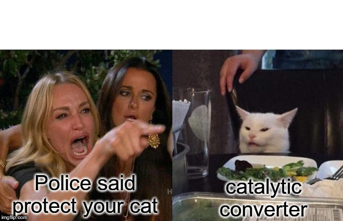 Woman Yelling At Cat | Police said protect your cat; catalytic
converter | image tagged in memes,woman yelling at cat | made w/ Imgflip meme maker