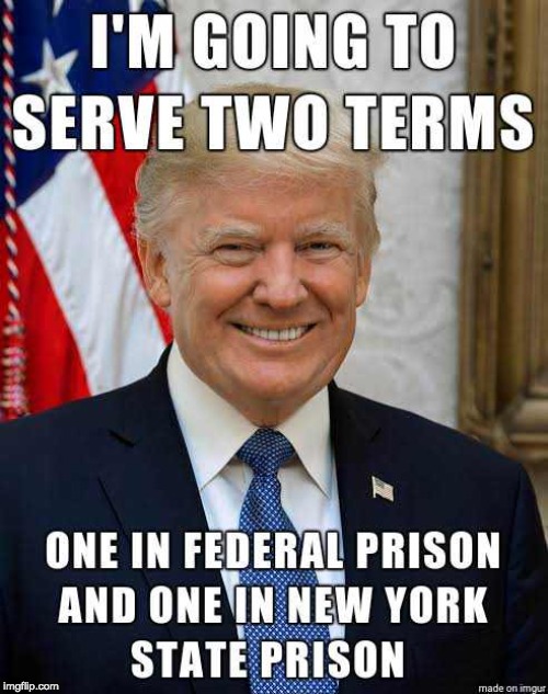 Lock Him Up! | image tagged in donald trump is an idiot,trump is a criminal,corruption,the most corrupt president ever | made w/ Imgflip meme maker