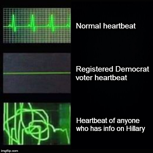 Epstein didn't kill hi... *gakkk, urkk* | Normal heartbeat; Registered Democrat
voter heartbeat; Heartbeat of anyone who has info on Hillary | image tagged in memes,politics,heartbeat rate | made w/ Imgflip meme maker