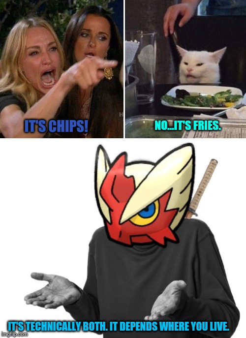 Which one do you say? Chips or fries? Let's see how many Brits and Americans argue on this. | IT'S CHIPS! NO...IT'S FRIES. IT'S TECHNICALLY BOTH. IT DEPENDS WHERE YOU LIVE. | image tagged in i guess i'll blaze the blaziken,angry lady cat,chips,fries | made w/ Imgflip meme maker