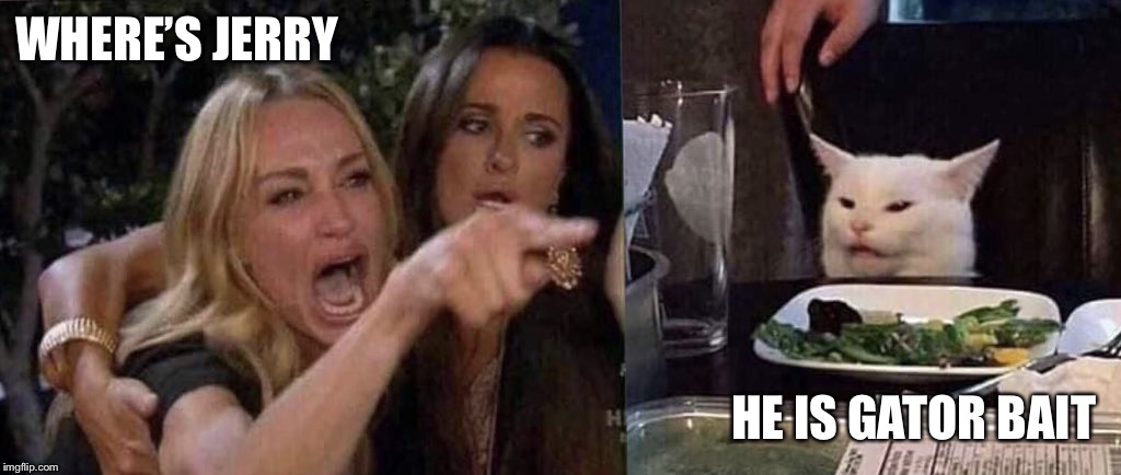 woman yelling at cat | WHERE’S JERRY; HE IS GATOR BAIT | image tagged in woman yelling at cat | made w/ Imgflip meme maker