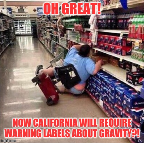 I demand more warning labels in California! | OH GREAT! NOW CALIFORNIA WILL REQUIRE WARNING LABELS ABOUT GRAVITY?! | image tagged in fat person falling over | made w/ Imgflip meme maker