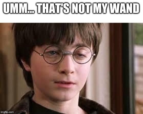 Harry Potter Stoned | UMM... THAT'S NOT MY WAND | image tagged in harry potter stoned | made w/ Imgflip meme maker