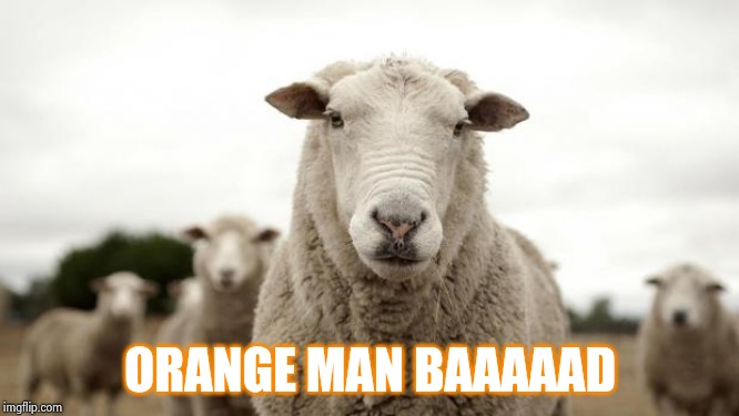 Sheep | ORANGE MAN BAAAAAD | image tagged in sheep | made w/ Imgflip meme maker