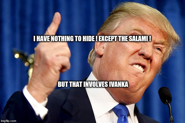 Donald Trump | I HAVE NOTHING TO HIDE ! EXCEPT THE SALAMI ! BUT THAT INVOLVES IVANKA | image tagged in donald trump | made w/ Imgflip meme maker