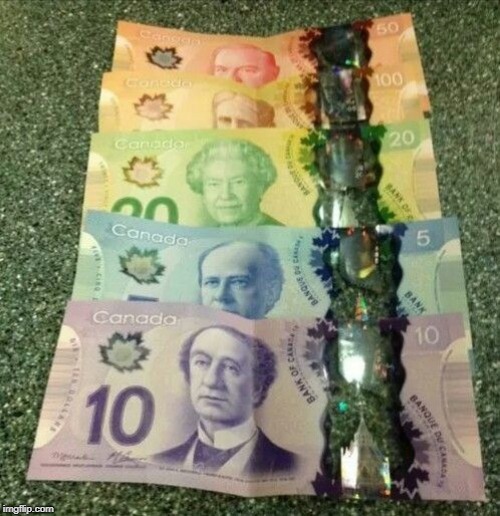 canada money | image tagged in canada money | made w/ Imgflip meme maker