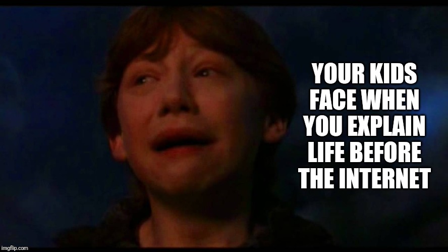 Parents, do you ever worry kids are becoming kinda wussy nowadays? | YOUR KIDS FACE WHEN YOU EXPLAIN LIFE BEFORE THE INTERNET | image tagged in ron weasley panic now | made w/ Imgflip meme maker