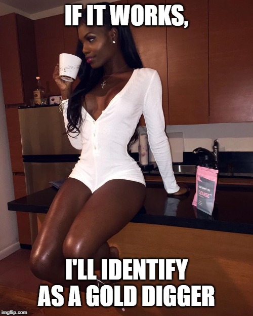 IF IT WORKS, I'LL IDENTIFY AS A GOLD DIGGER | made w/ Imgflip meme maker