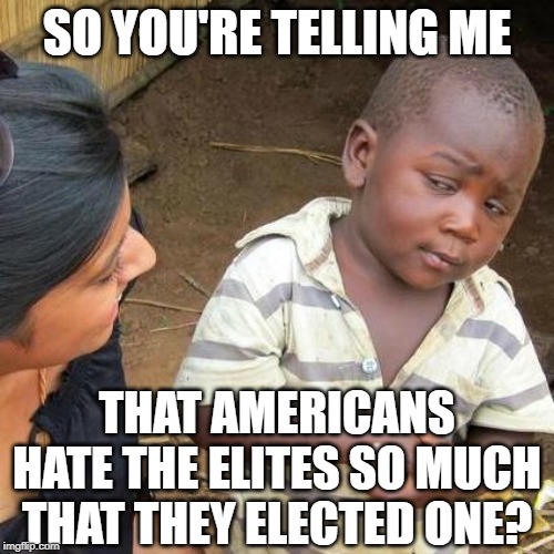 The Rest of the World is Placing Bets on How Long the dying Empire Will Last | SO YOU'RE TELLING ME; THAT AMERICANS HATE THE ELITES SO MUCH THAT THEY ELECTED ONE? | image tagged in memes,third world skeptical kid | made w/ Imgflip meme maker