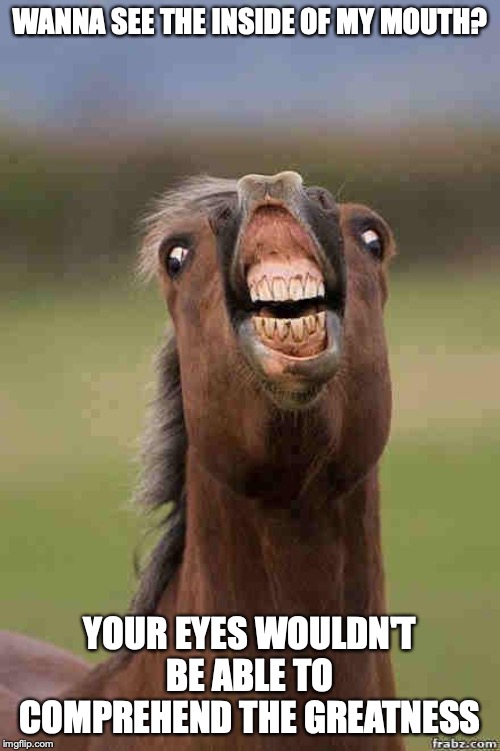 horse face | WANNA SEE THE INSIDE OF MY MOUTH? YOUR EYES WOULDN'T BE ABLE TO COMPREHEND THE GREATNESS | image tagged in horse face | made w/ Imgflip meme maker