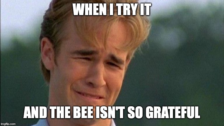 crying dawson | WHEN I TRY IT AND THE BEE ISN'T SO GRATEFUL | image tagged in crying dawson | made w/ Imgflip meme maker
