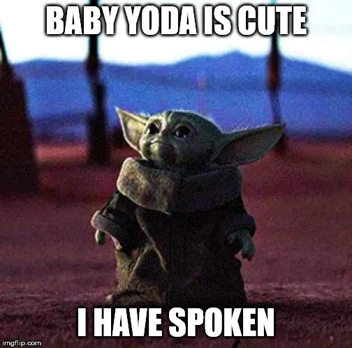 Baby Yoda |  BABY YODA IS CUTE; I HAVE SPOKEN | image tagged in baby yoda,mandalorian | made w/ Imgflip meme maker