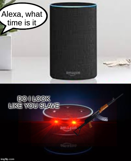 Alexa, what time is it; DO I LOOK LIKE YOU SLAVE | image tagged in funny memes | made w/ Imgflip meme maker