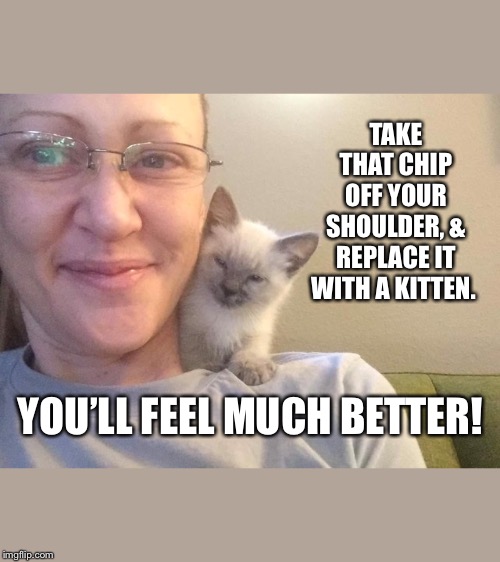 Scully helps out | TAKE THAT CHIP OFF YOUR SHOULDER, & REPLACE IT WITH A KITTEN. YOU’LL FEEL MUCH BETTER! | image tagged in kitten,cats,siamese cat | made w/ Imgflip meme maker