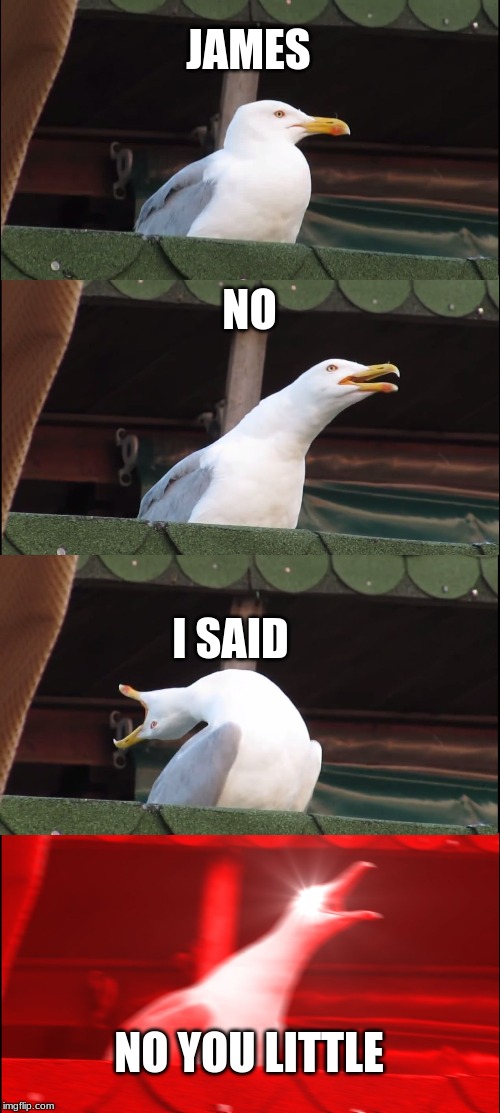 Inhaling Seagull | JAMES; NO; I SAID; NO YOU LITTLE | image tagged in memes,inhaling seagull | made w/ Imgflip meme maker