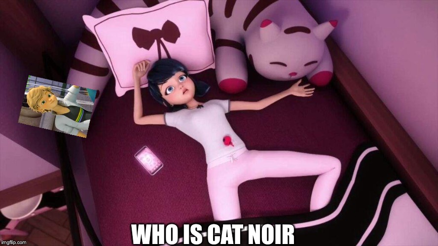 What Marinette wonders about | WHO IS CAT NOIR | image tagged in miraculous ladybug marinette in bed,cats | made w/ Imgflip meme maker