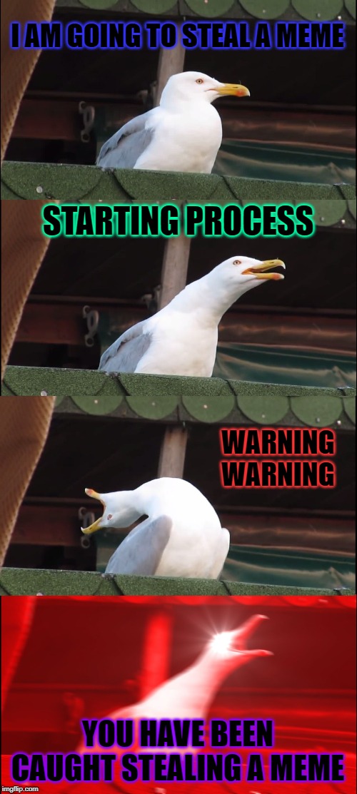 Inhaling Seagull | I AM GOING TO STEAL A MEME; STARTING PROCESS; WARNING WARNING; YOU HAVE BEEN CAUGHT STEALING A MEME | image tagged in memes,inhaling seagull | made w/ Imgflip meme maker