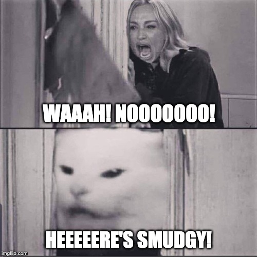 Here's Smudgy! | WAAAH! NOOOOOOO! HEEEEERE'S SMUDGY! | image tagged in woman yelling at cat,smudge the cat,the shining,memes,cats,funny | made w/ Imgflip meme maker