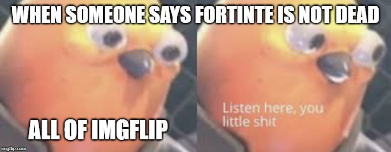 Listen here you little shit bird | WHEN SOMEONE SAYS FORTINTE IS NOT DEAD; ALL OF IMGFLIP | image tagged in listen here you little shit bird,fortnite | made w/ Imgflip meme maker