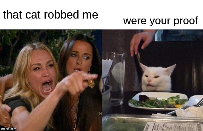Woman Yelling At Cat | that cat robbed me; were your proof | image tagged in memes,woman yelling at cat | made w/ Imgflip meme maker