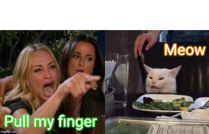 Woman Yelling At Cat | Meow; Pull my finger | image tagged in memes,woman yelling at cat | made w/ Imgflip meme maker