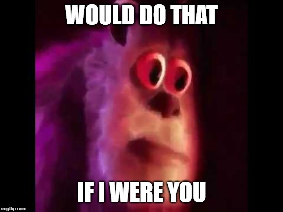 Sully Groan | WOULD DO THAT IF I WERE YOU | image tagged in sully groan | made w/ Imgflip meme maker