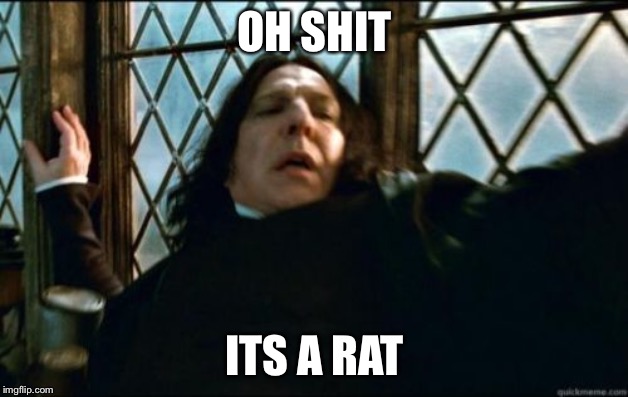 Snape Meme | OH SHIT; ITS A RAT | image tagged in memes,snape | made w/ Imgflip meme maker