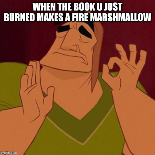 Pacha perfect | WHEN THE BOOK U JUST BURNED MAKES A FIRE MARSHMALLOW | image tagged in pacha perfect | made w/ Imgflip meme maker