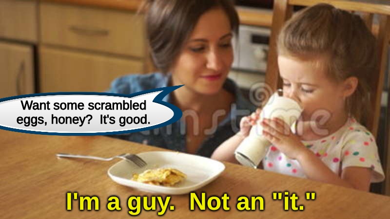 Want some scrambled eggs, honey?  It's good. I'm a guy.  Not an "it." | image tagged in memes,random | made w/ Imgflip meme maker