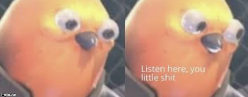 Listen here you little shit bird | image tagged in listen here you little shit bird | made w/ Imgflip meme maker